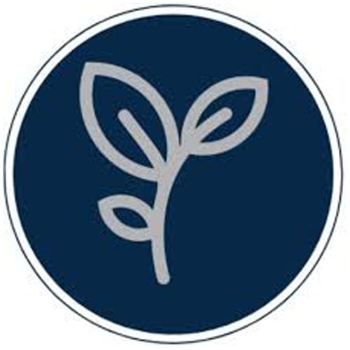 nz garlic suppling spray free organically elephant garlic stockists The Sustainable Pantry