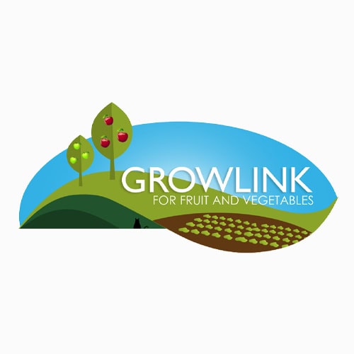 nz garlic suppling spray free organically elephant garlic stockists growlink